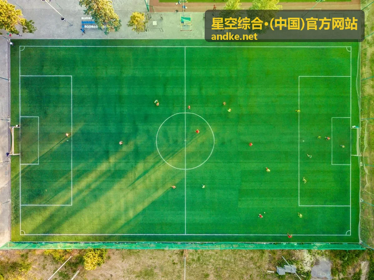 星空综合·(中国)官方网站零售与服务门店的当天数据汇总示意